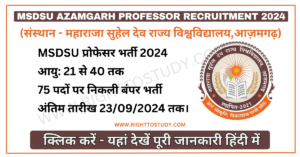 MSDSU Azamgarh Professor Recruitment 2024 in Hindi